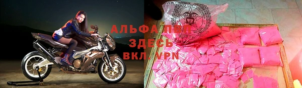 тгк Гусев